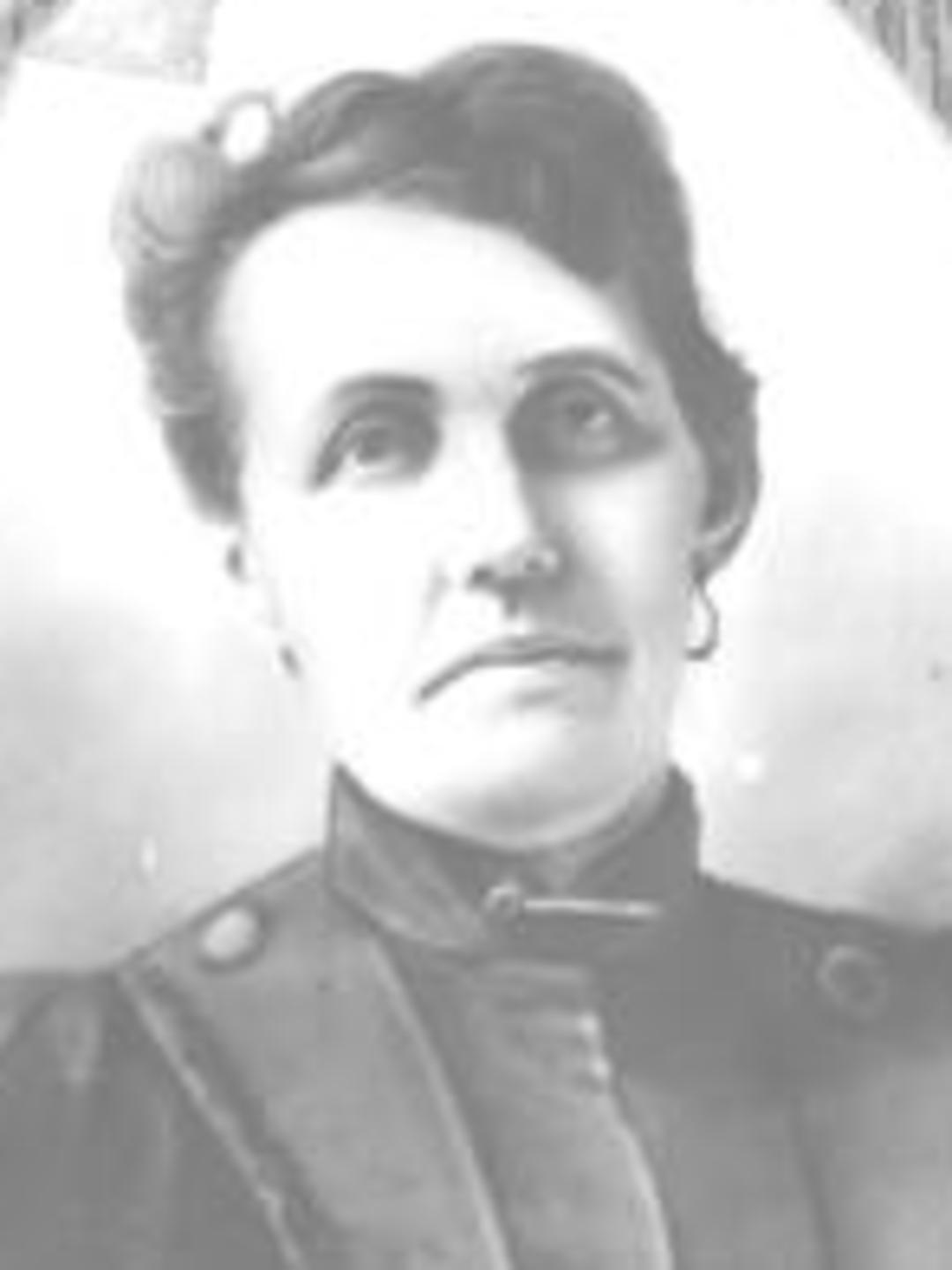 Mary Rosetta Patterson (1852 - 1943) Profile